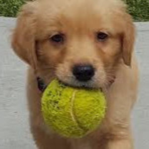 Meet your Posher, Bibiana